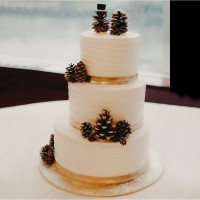 Торт с шишками на зимнюю свадьбу