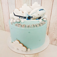 Торт самолет на юбилей