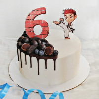 Торт для маленького каратиста на 6 лет