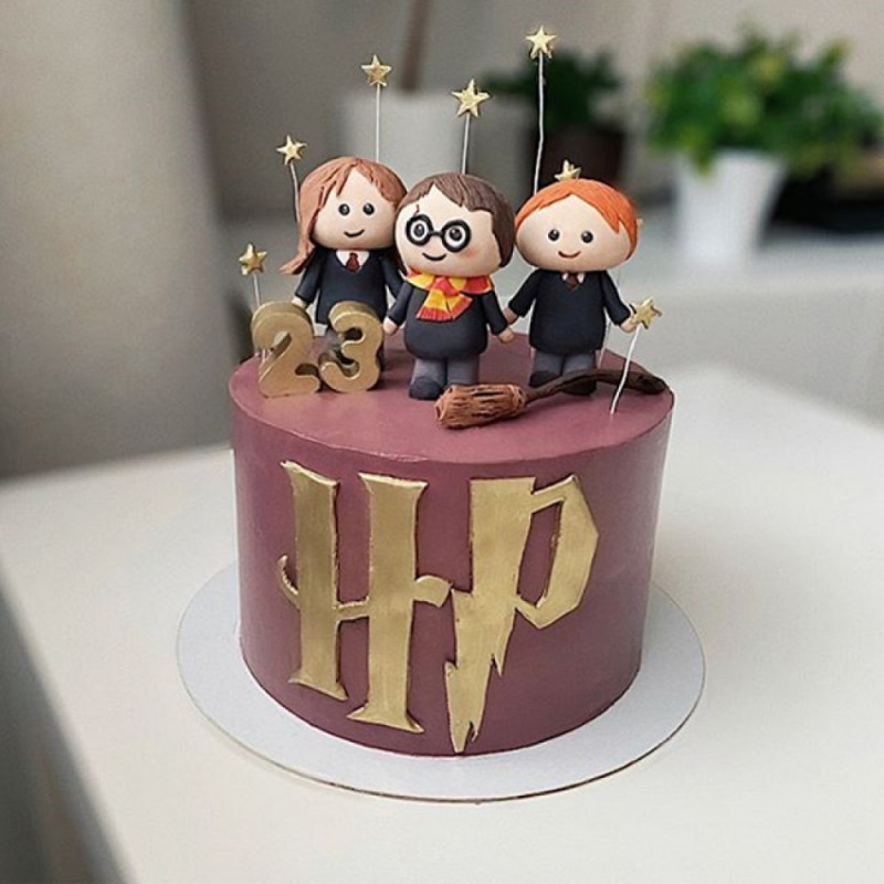 Торт с Гарри Поттером на день рождения