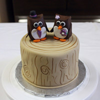 Одноярусный свадебный торт с совами