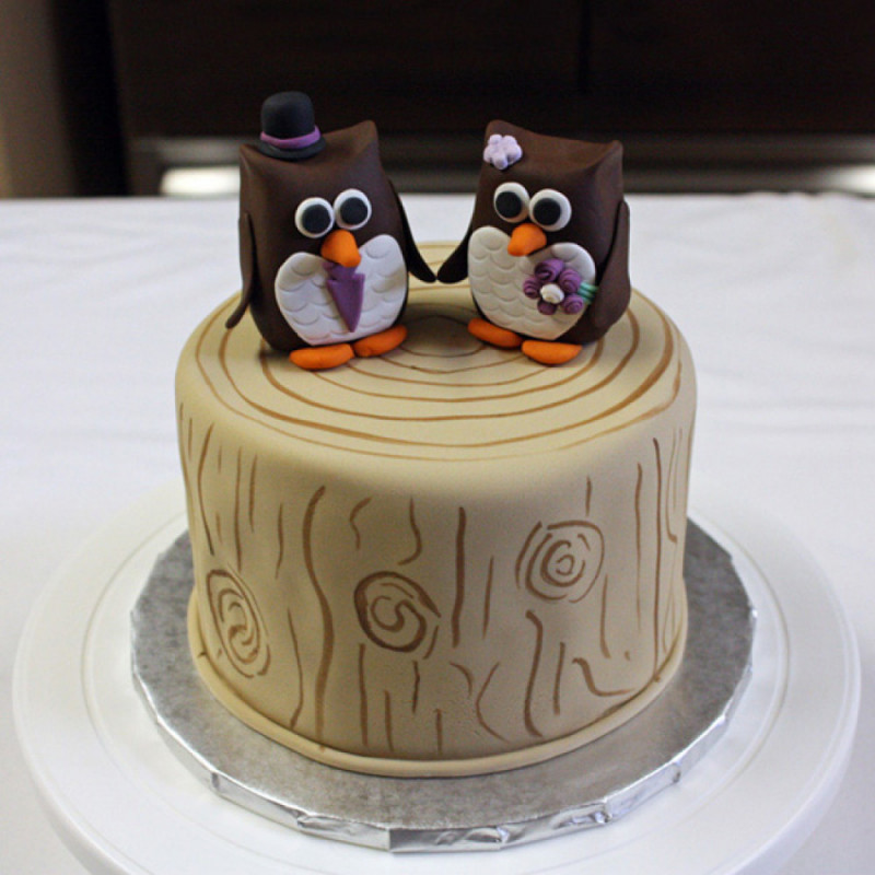 Одноярусный свадебный торт с совами