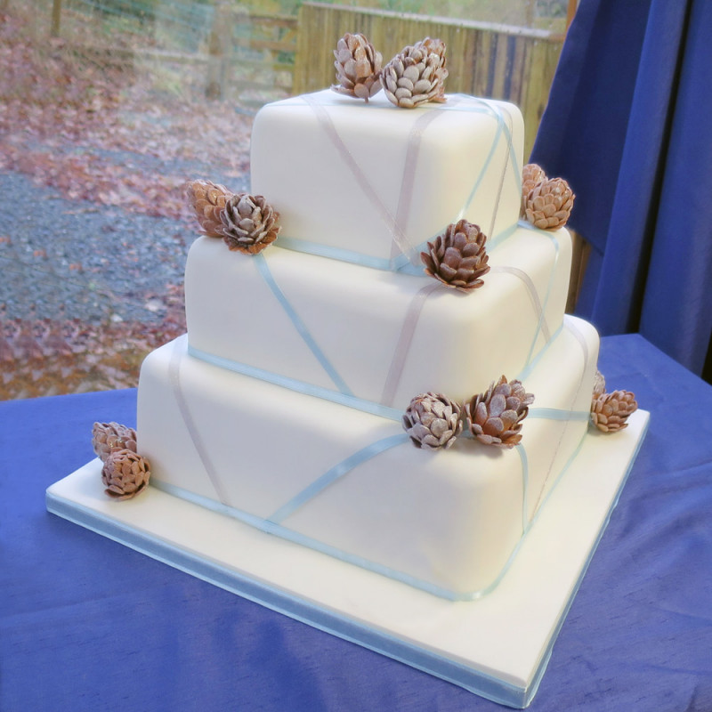 Торт на свадьбу с шишками и лентами