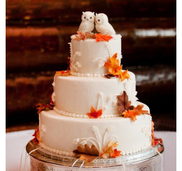 Классический торт на свадьбу с совами