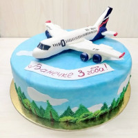 Торт самолет на день рождения