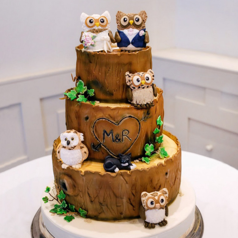 Торт с прикольными совами на свадьбу