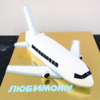 Торт в виде самолета