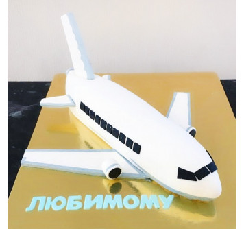 Торт в виде самолета