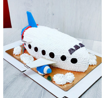 Торт большой самолет
