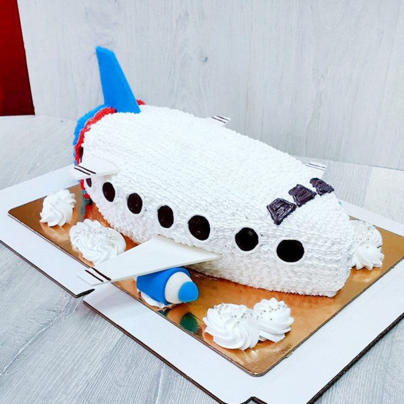 Торт большой самолет